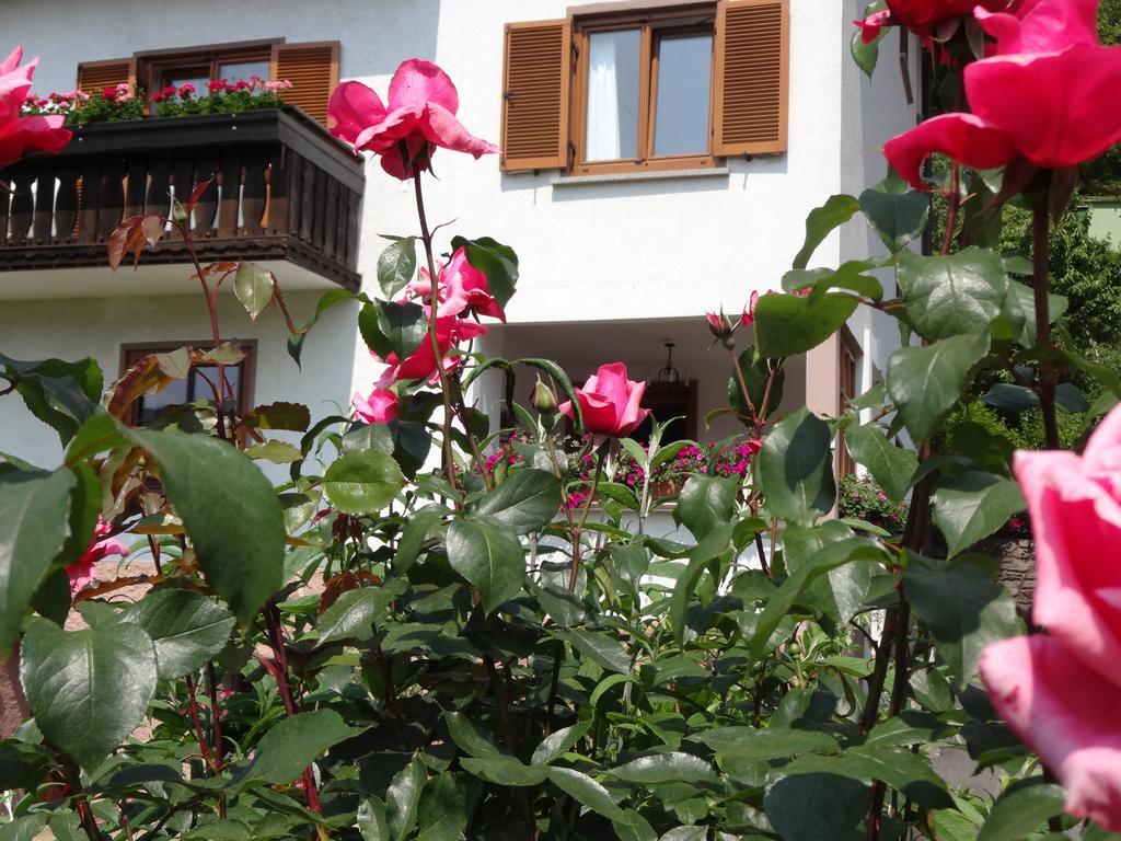 Schuetzenhof Aparthotel Sattendorf Exterior photo